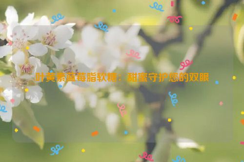 叶黄素蓝莓脂软糖：甜蜜守护您的双眼