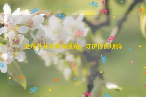 蓝莓叶黄素眼保健贴：守护你的明眸