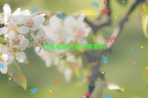 吃蓝莓能补充叶黄素吗