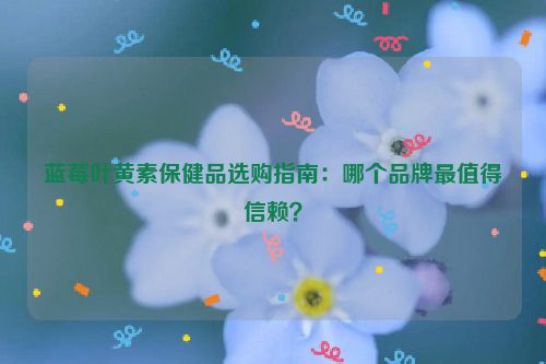 蓝莓叶黄素保健品选购指南：哪个品牌最值得信赖？