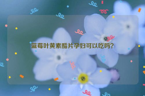 蓝莓叶黄素酯片孕妇可以吃吗？