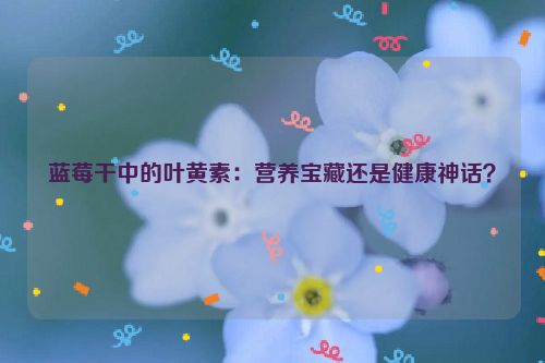 蓝莓干中的叶黄素：营养宝藏还是健康神话？