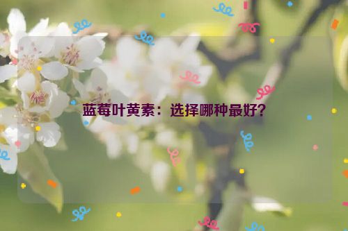 蓝莓叶黄素：选择哪种最好？