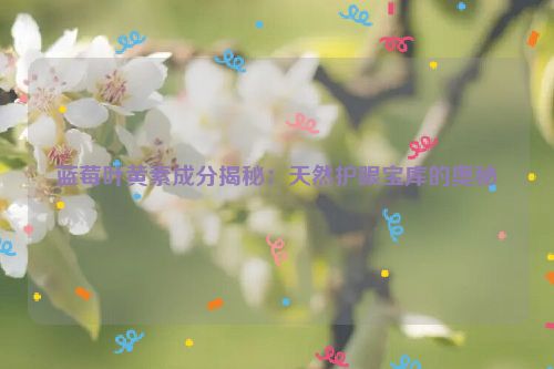 蓝莓叶黄素成分揭秘：天然护眼宝库的奥秘