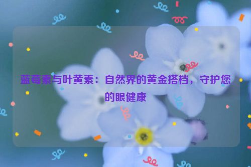 蓝莓素与叶黄素：自然界的黄金搭档，守护您的眼健康