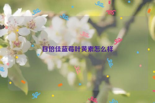 目倍佳蓝莓叶黄素怎么样