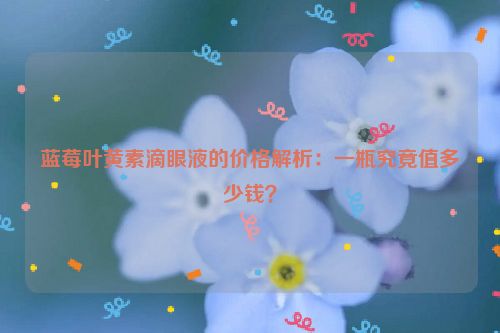 蓝莓叶黄素滴眼液的价格解析：一瓶究竟值多少钱？