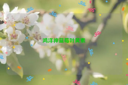 鸿洋神蓝莓叶黄素