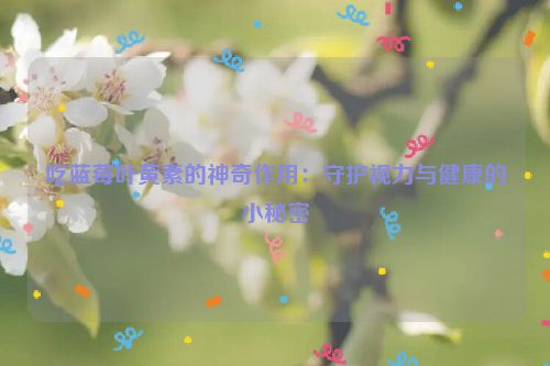 吃蓝莓叶黄素的神奇作用：守护视力与健康的小秘密