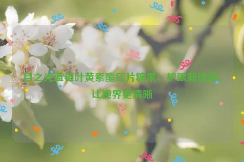 目之光蓝莓叶黄素酯压片糖果：护眼新选择，让视界更清晰