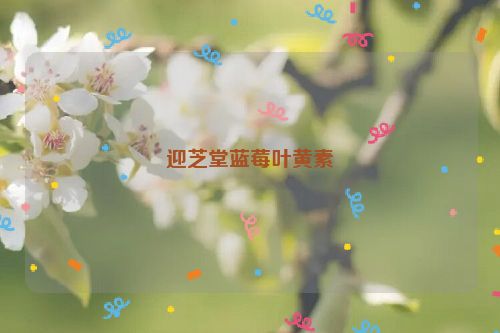 迎芝堂蓝莓叶黄素