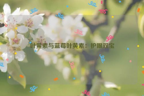 叶黄素与蓝莓叶黄素：护眼双宝