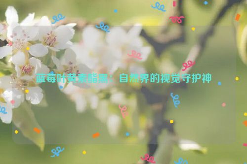 蓝莓叶黄素酯黑：自然界的视觉守护神