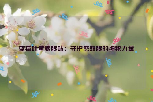 蓝莓叶黄素眼贴：守护您双眼的神秘力量