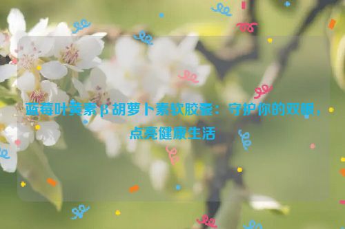 蓝莓叶黄素β胡萝卜素软胶囊：守护你的双眼，点亮健康生活