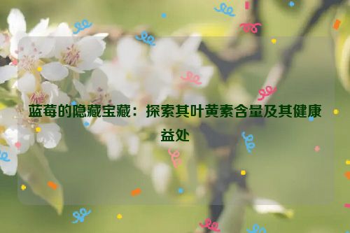 蓝莓的隐藏宝藏：探索其叶黄素含量及其健康益处