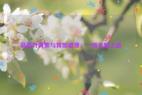 蓝莓叶黄素与胃部健康：一场未解之谜