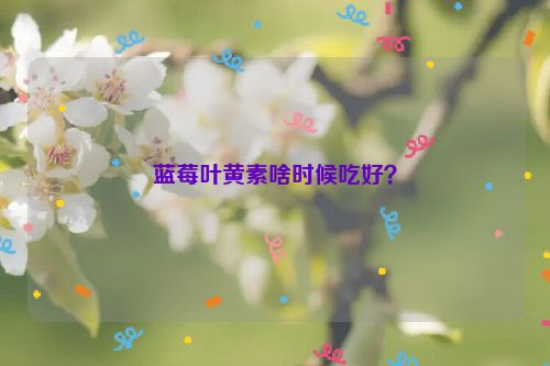 蓝莓叶黄素啥时候吃好？