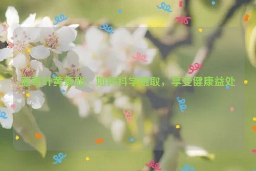 蓝莓叶黄素酯：如何科学摄取，享受健康益处