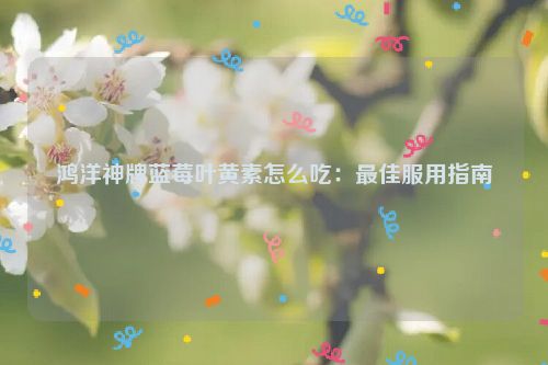 鸿洋神牌蓝莓叶黄素怎么吃：最佳服用指南