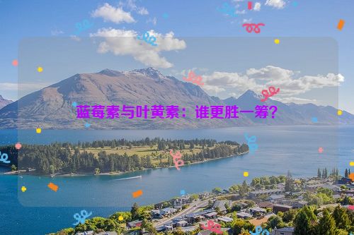 蓝莓素与叶黄素：谁更胜一筹？