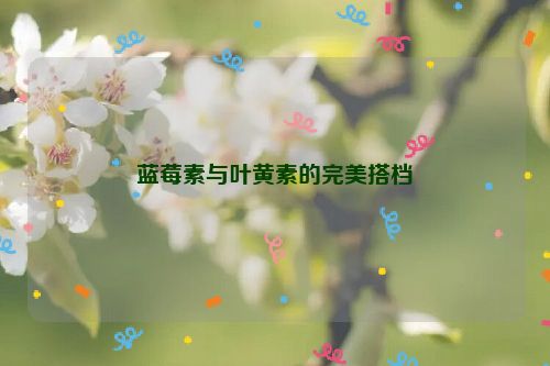 蓝莓素与叶黄素的完美搭档