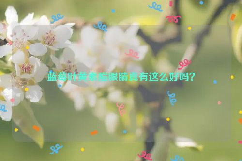 蓝莓叶黄素酯眼睛真有这么好吗？