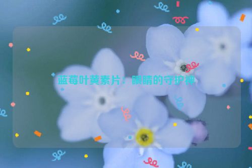 蓝莓叶黄素片：眼睛的守护神