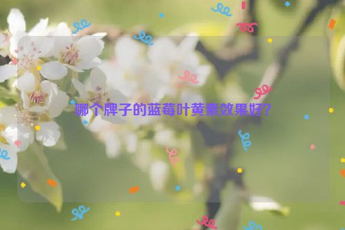 哪个牌子的蓝莓叶黄素效果好？