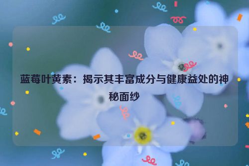 蓝莓叶黄素：揭示其丰富成分与健康益处的神秘面纱