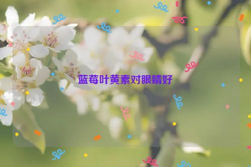 蓝莓叶黄素对眼睛好