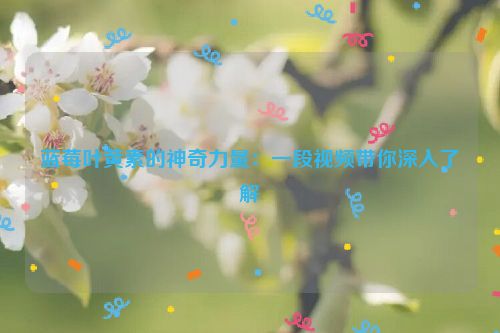 蓝莓叶黄素的神奇力量：一段视频带你深入了解