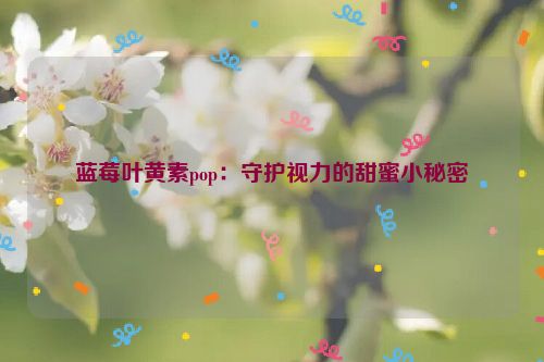 蓝莓叶黄素pop：守护视力的甜蜜小秘密